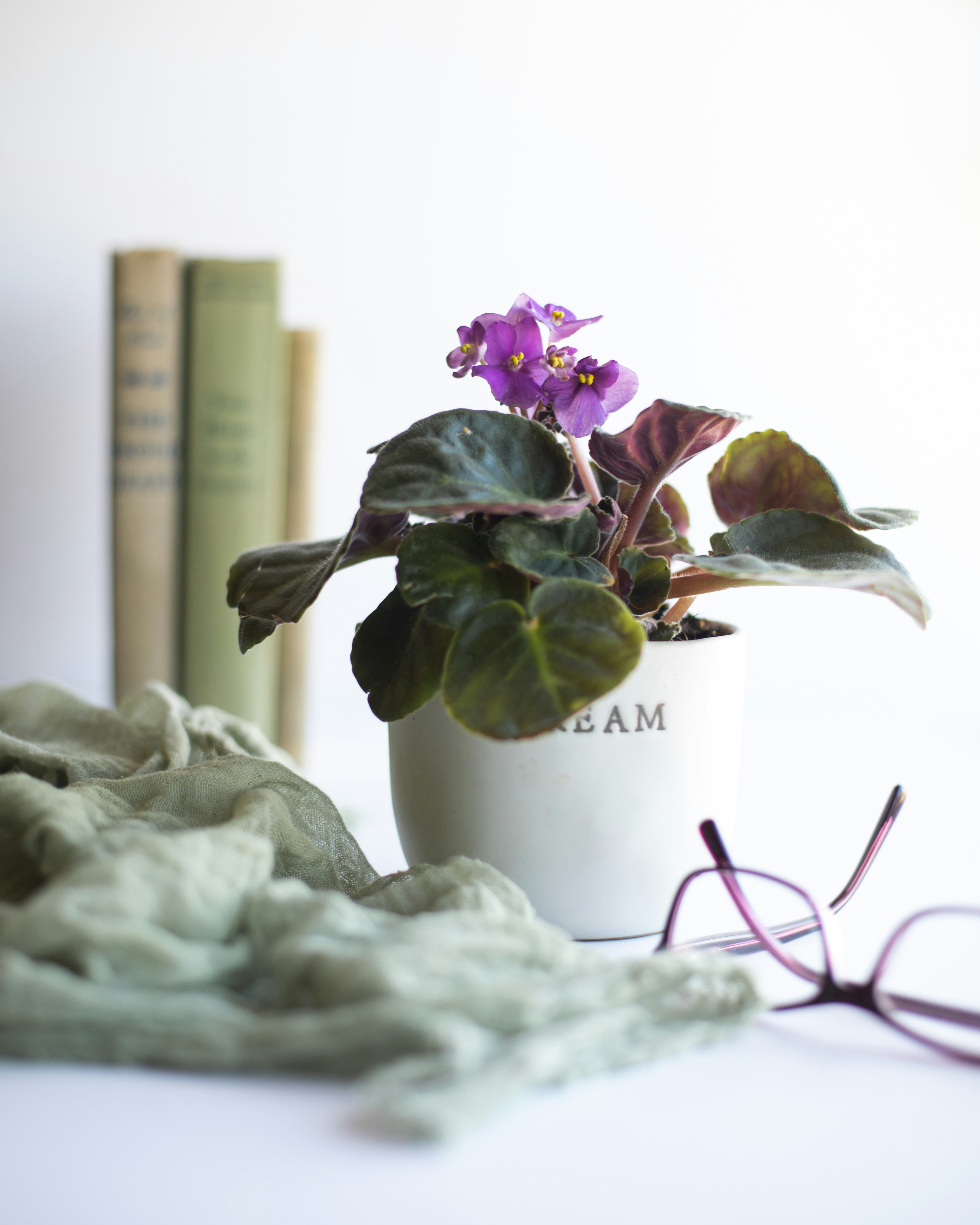 purple and white flowers in white ceramic vase